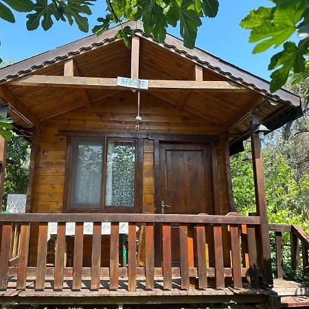 Olimpos Bungalov Apart Aparthotel Balikliova Exterior foto